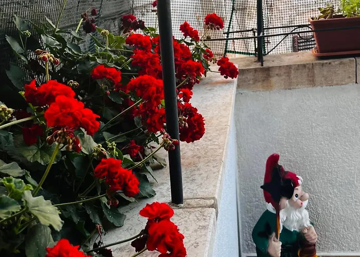 Διαμέρισμα Bella